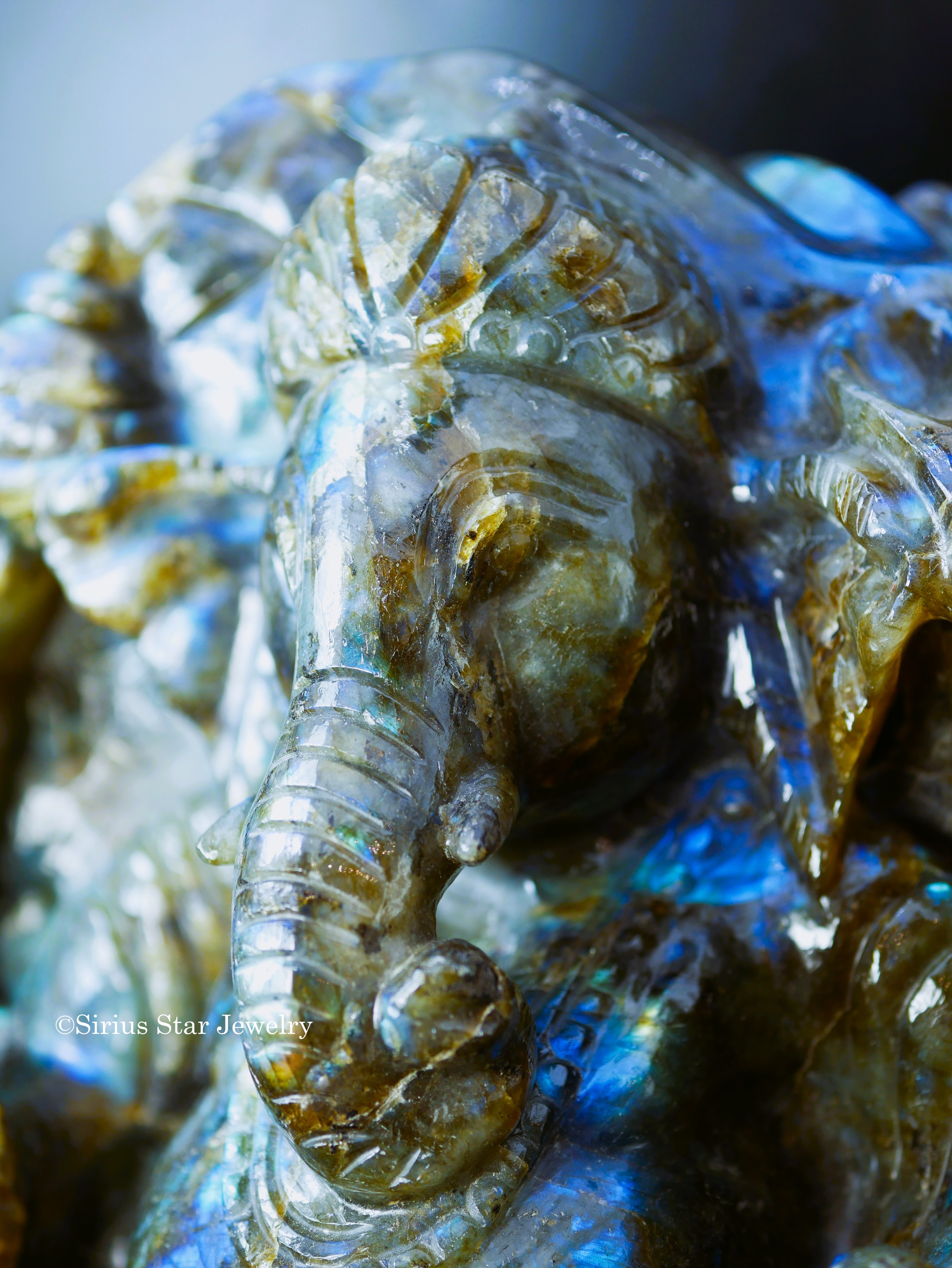 開運福福袋【商売繫盛ガネーシャラブラドライト】コース