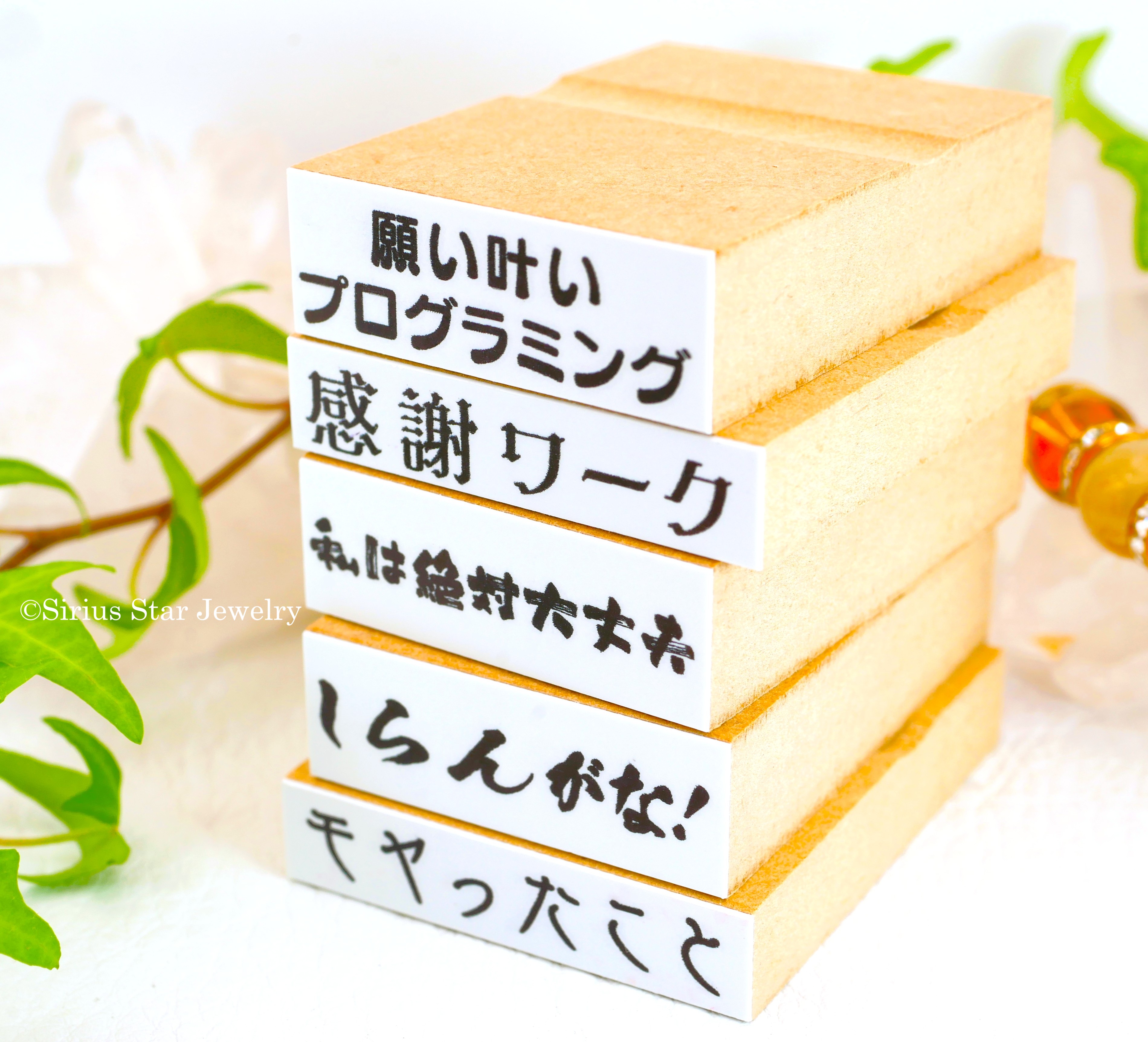 ガンガン開運スタンプ【プログラミングセット】